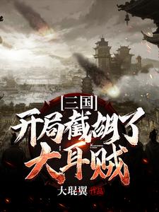 《三国：开局截胡了大耳贼》张飞刘磐刘备