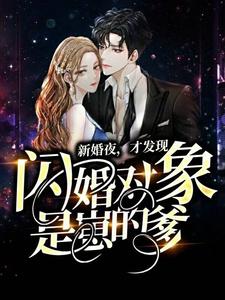 《新婚夜，才发现闪婚对象是崽的爹》慎沉风林苏萧进