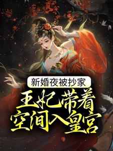 《新婚夜被抄家，王妃带着空间入皇宫苏云宛秦君屹秦君献谢晁》苏云宛秦君屹秦君献谢晁