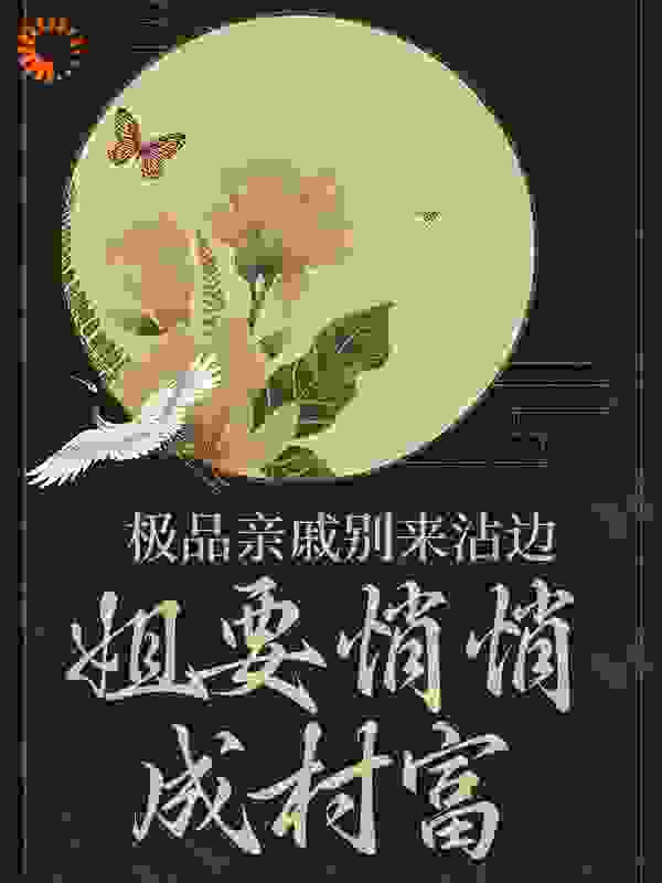 《王有财王桃花马大眼侯老六》小说