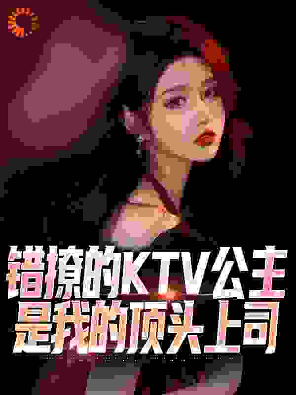 《错撩的KTV公主是我的顶头上司苏阳王伟凌若雪凌峰》苏阳王伟凌若雪凌峰