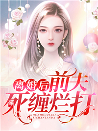 《陆铭宋婉清陶妍》小说