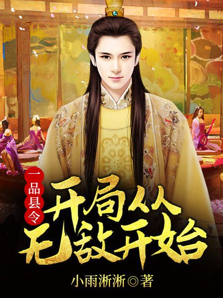 《一品县令：开局从无敌开始秦风甲午李老汉张大官人》秦风甲午李老汉张大官人