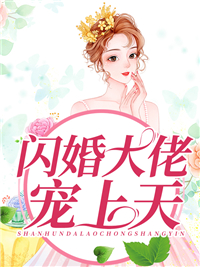 《闪婚大佬宠上天慕晴江先生夜君博慕致远》慕晴江先生夜君博慕致远