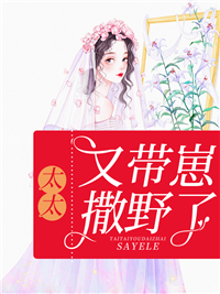 《陆夜霆叶星辰叶婉婉》小说