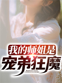 《我的师姐是宠弟狂魔》陈秋苏婉儿苗坤包庆