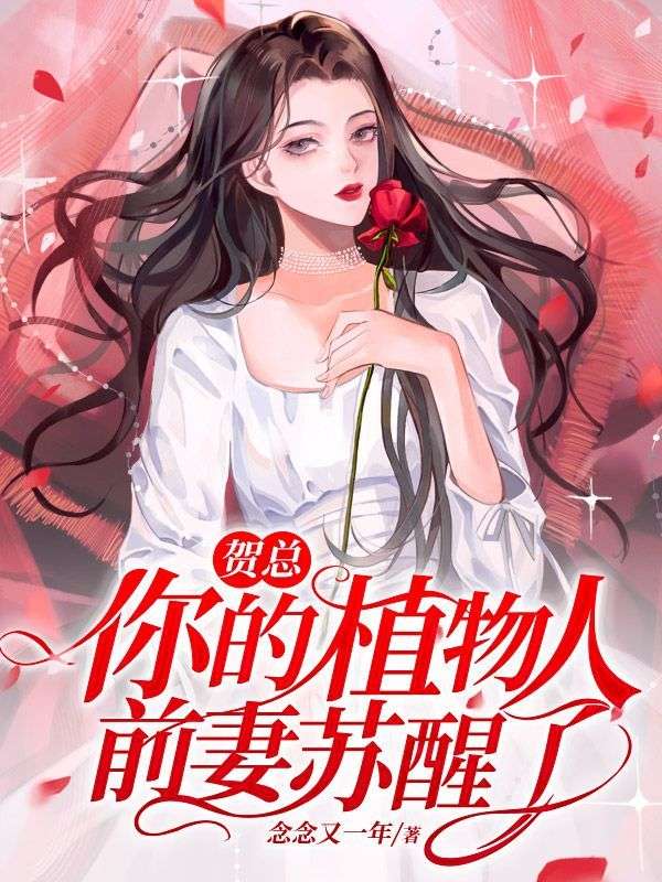 《沈羡安贺秉延沈听慕夏白晴》小说