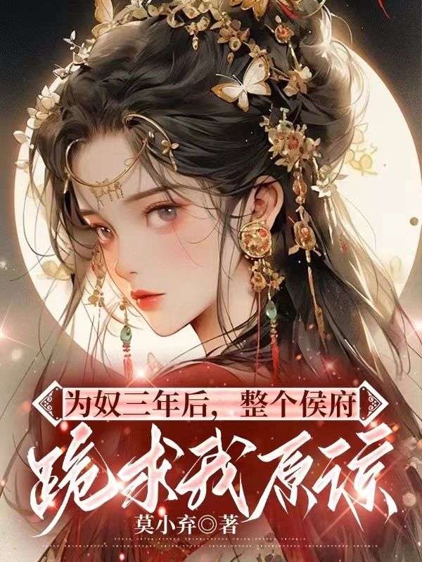 《乔念林烨林鸢林夫人》小说